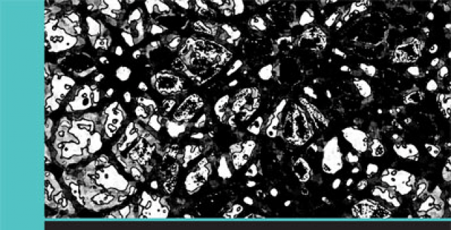 Recherches à découvert #10